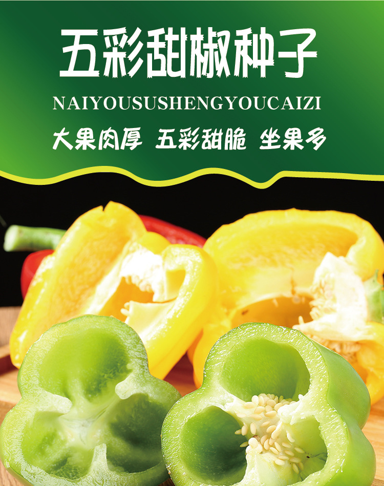 华煜五彩甜椒种子 菜园农家大果灯笼椒青椒菜椒菜椒籽厂家批发孑