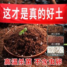 进口泥炭土营养土型家用种菜养花多肉兰花种植专用有机植土壤跨境