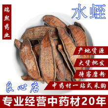 批发中药材水蛭水蛭野山金边水蛭蚂蟥蚂蝗吊干清水宽体金线水蛭