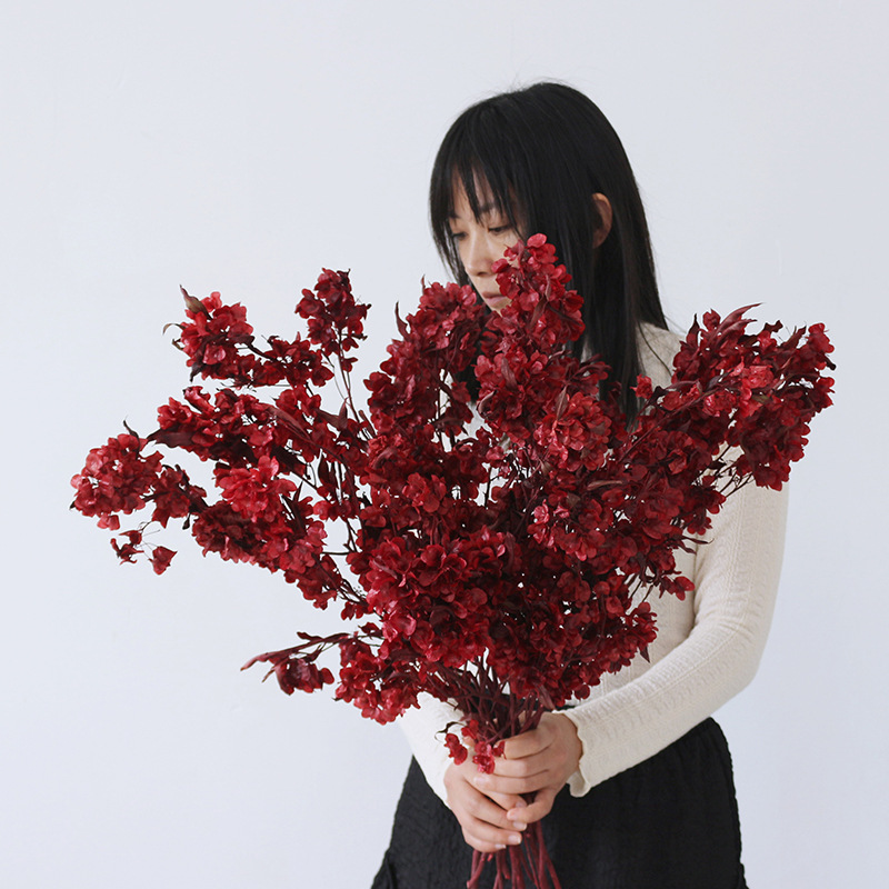 迎客豆蝴蝶花干花花年宵花过年节日红色喜庆客厅装饰插花真花