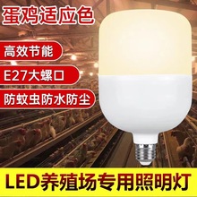 led节能灯e27螺口商用鸡舍暖色黄光蛋鸡养殖场专用照明灯暖光灯泡