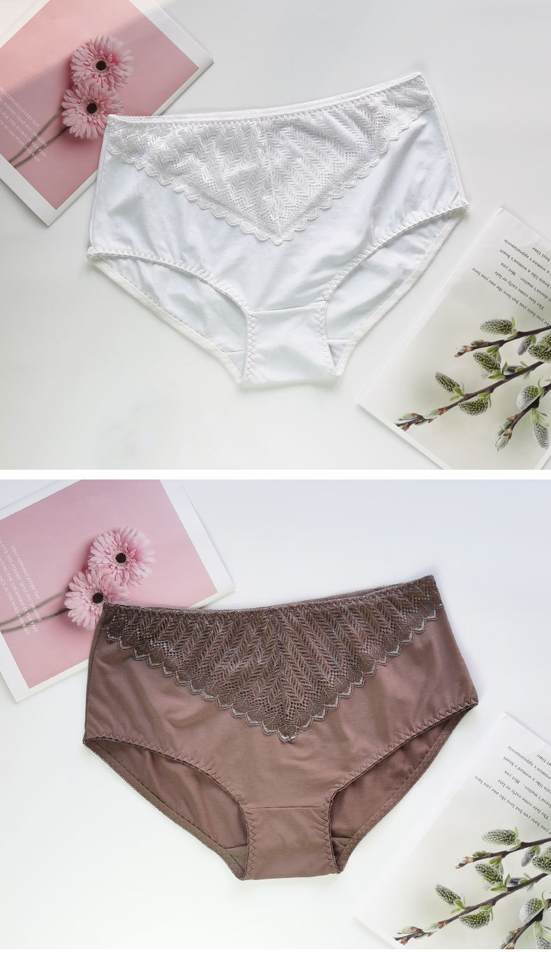 跨境外贸欧美大码性感蕾丝网纱透气舒适提臀中腰内裤三角裤女裤头