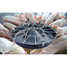 仔猪食槽小猪料槽猪用养殖设备猪槽保育猪补料槽自由采食喂猪槽子