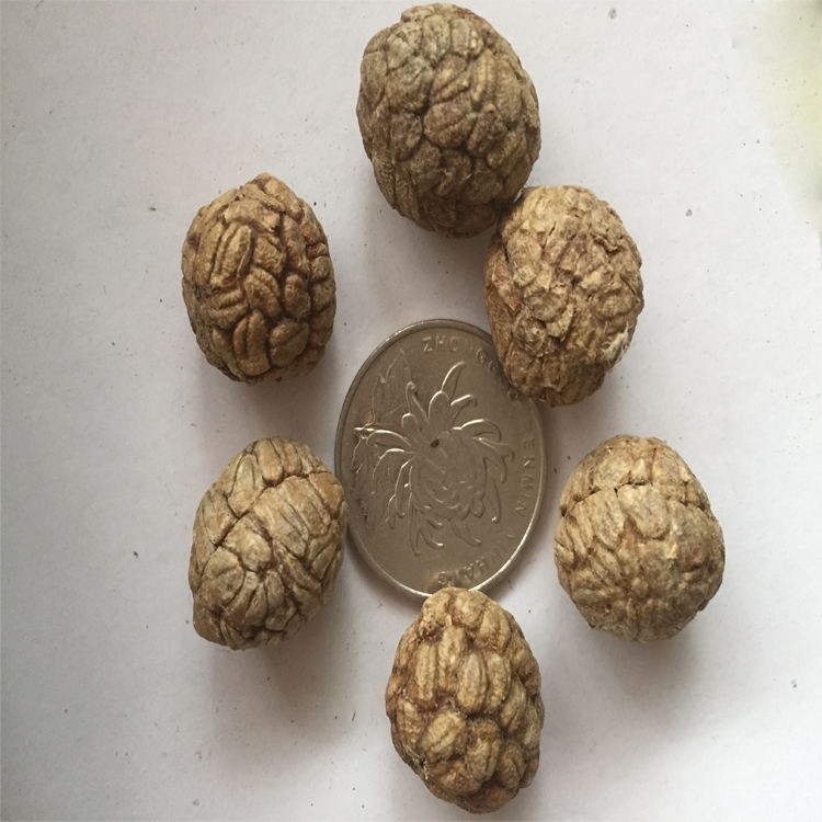 草豆蔻 云南老扣 草寇 等产地直销 500克 250克-阿里巴巴