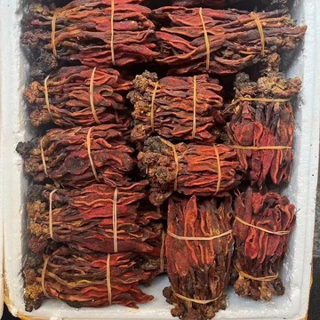 回春草干货云南回春草搭配锁阳回心草 顶天柱 回春草批发-阿里巴巴