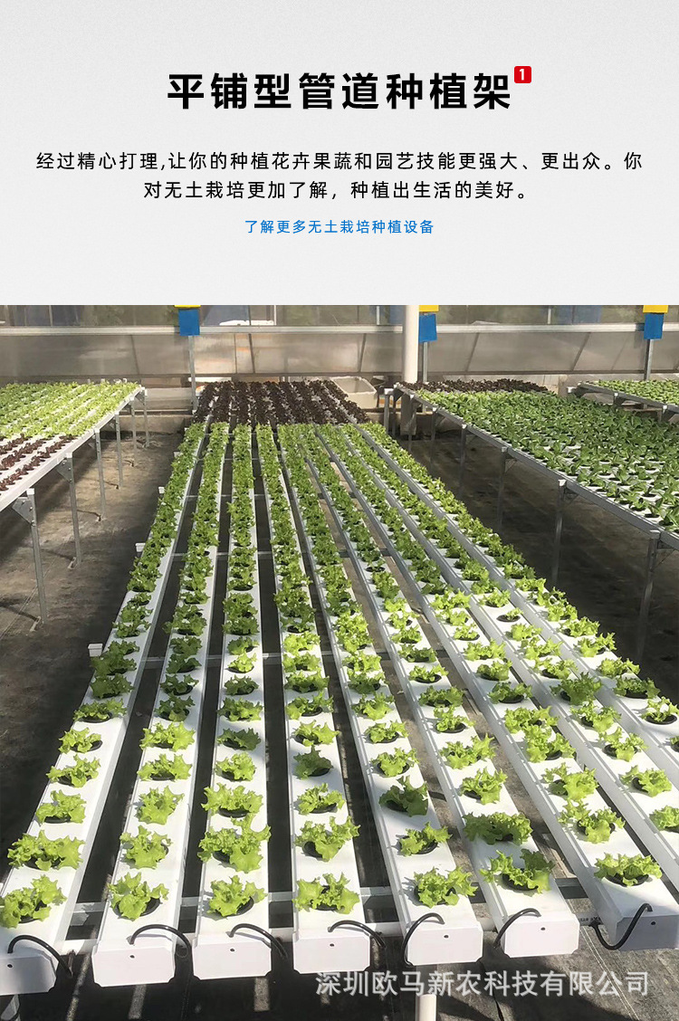 无土栽培设备工程楼顶天台纯水培管道种生菜青菜水耕平面型种植架