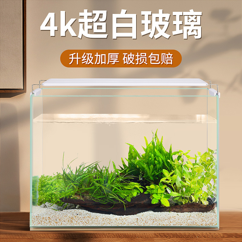 Fish Tank Ecological Desktop Aquatic Plants Landscape Home Ornamental Fish Turtle Jar Douyu Small Living Room Super White Glass Cylinder