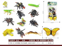 跨境仿真野生昆虫动物模型套装蝴蝶蜘蛛青蛙蟋蟀儿童科教认知