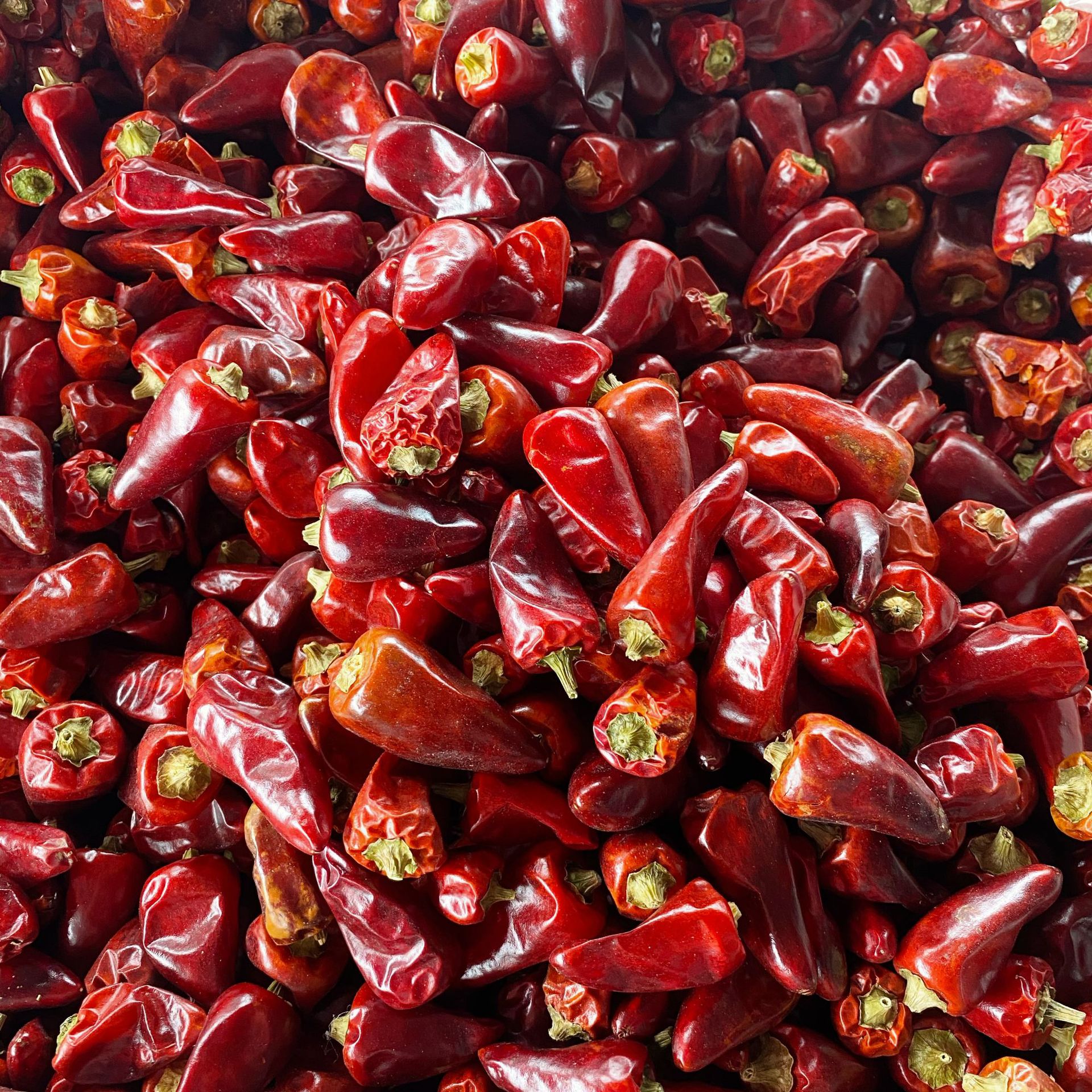 现货供应贵州子弹头朝天椒川菜火锅串串干锅香辣调味料500g