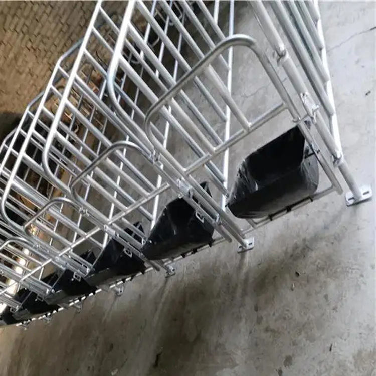 漏粪板定位栏 定位栏食槽 连体高床限位栏 养殖设备