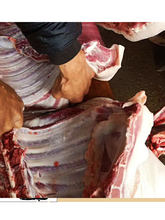 新鲜排骨6斤纯肋排整条排骨农家散养土猪肉冷冻生鲜仔排小排骨