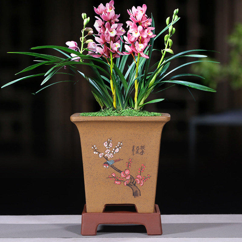 紫砂四方兰花专用盆宜兴陶瓷高档透气种植文竹陶土手工盆景盆包邮