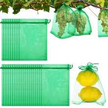 跨境Fruit Protection Bag葡萄水果防虫网袋网兜种子袋欧根纱