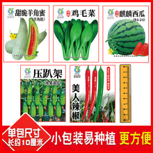 小包装多种蔬菜种子8*10厘米小包装可做赠品蔬菜籽工厂批发