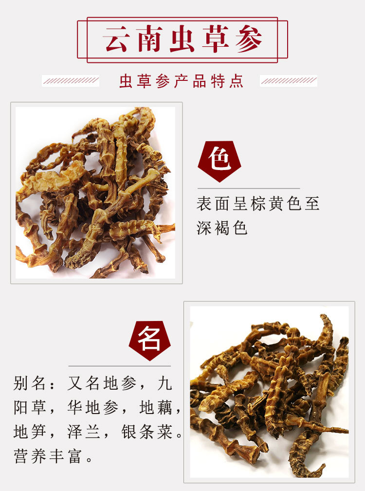 虫草参图片 食用方法图片