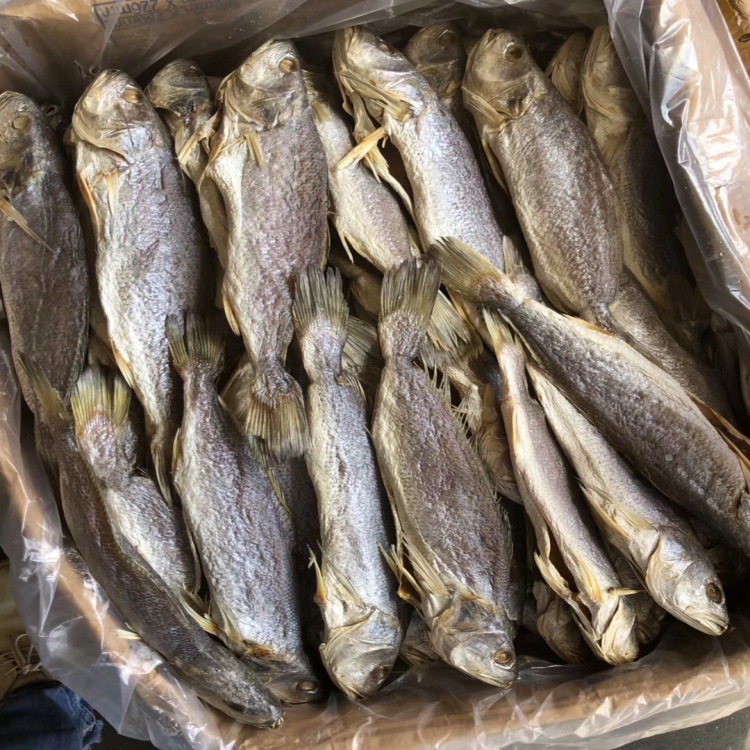 三牙  海味干货 海干 鱼 海鲜干货 咸鱼 水产 海产品 批发 代发
