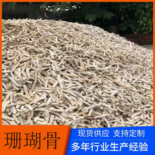 现货供应水族鱼缸海洋馆鱼池过滤用珊瑚石 珊瑚石珊瑚骨养殖用