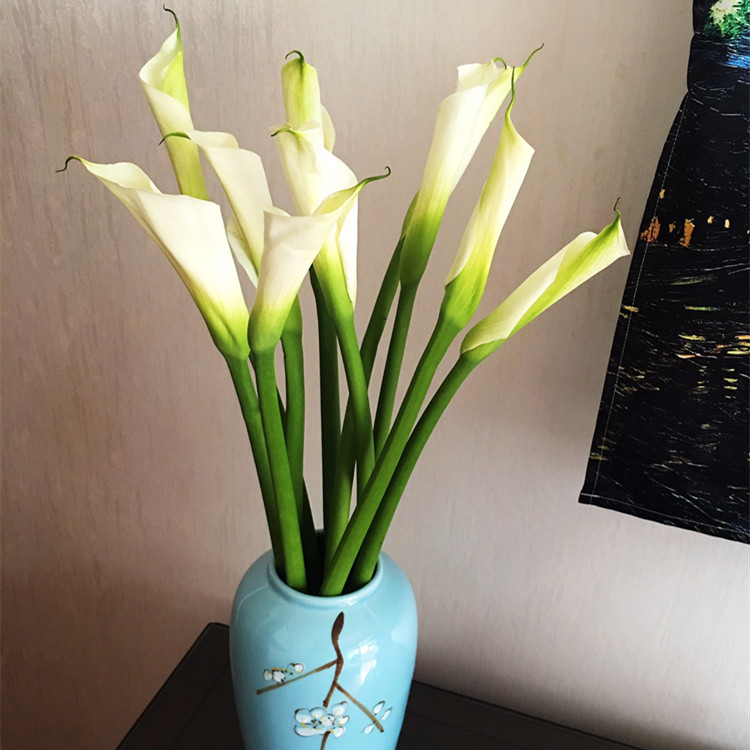 云南鹤望兰-云南鹤望兰厂家,品牌,图片,热帖-阿里巴巴