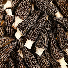 羊肚菌大量批发干货新鲜礼盒云南汤包菇类食材特产现货