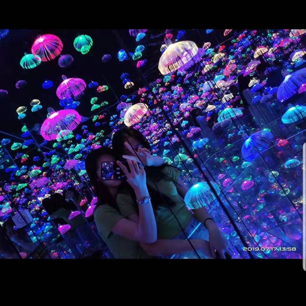 需购2022夏商场12星座天幕彩灯led天幕灯幕墙灯饰画2022街区亮化造型