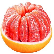 福建平和红心柚子新鲜当季馆溪红肉蜜柚新鲜水果红柚大果整箱包邮