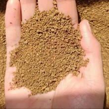 供应喷浆豆渣植物性原料 养殖用禽畜饲料喷浆豆渣现货