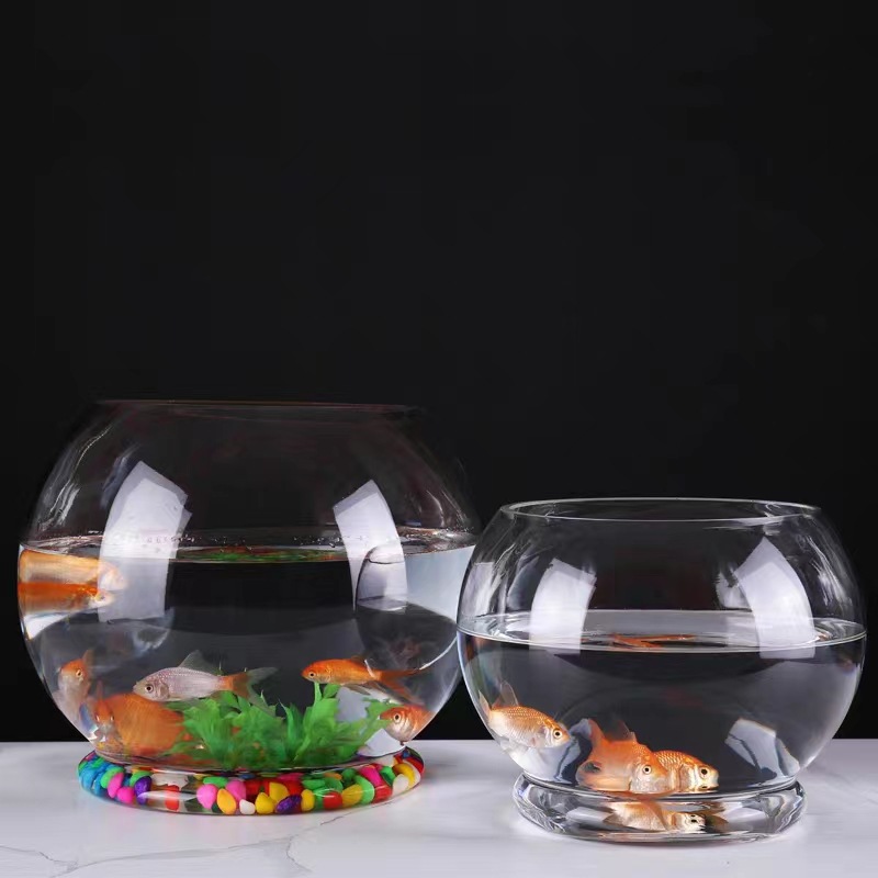 Creative with Bottom round Glass Fish Tank Household Living Room Turtle Jar Desktop Hydroponic Plant Transparent Vase Container