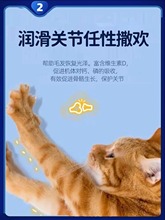 深海鱼油片狗狗猫咪鱼油防掉毛美毛护肤宠物复合维生素