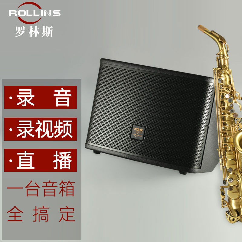 罗林斯萨克斯音响at208s多功能智能150w大功率户外室内演奏