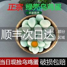 绿壳鸡蛋新鲜乌鸡蛋正宗农家散养土鸡蛋鸡蛋绿皮鸡蛋顺丰包邮