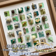 干花标本diy小东西中空植物花朵画框材料包桌面小摆件一件代发