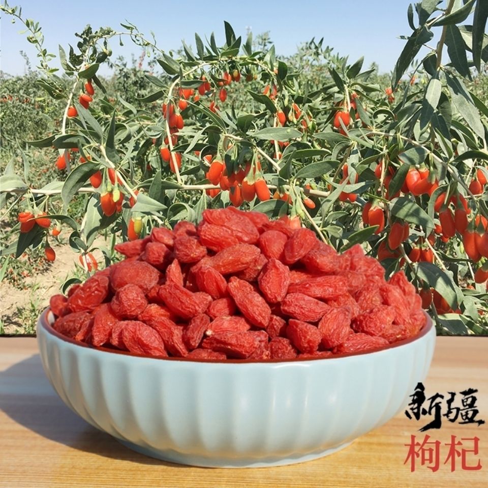 包邮新疆特产原生态精河正宗红枸杞子头茬非宁夏青海枸杞王苟杞