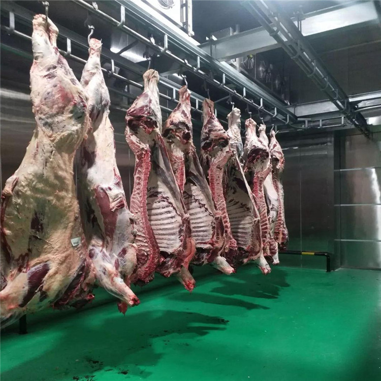 天津肉类排酸冷库定制安装 排酸设备销售 牛肉排酸 鲜肉排酸冷库