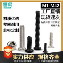 PM圆头机丝螺丝钉十字盘头机牙螺栓GB818小微型螺丝M2M2.5M2.6M3