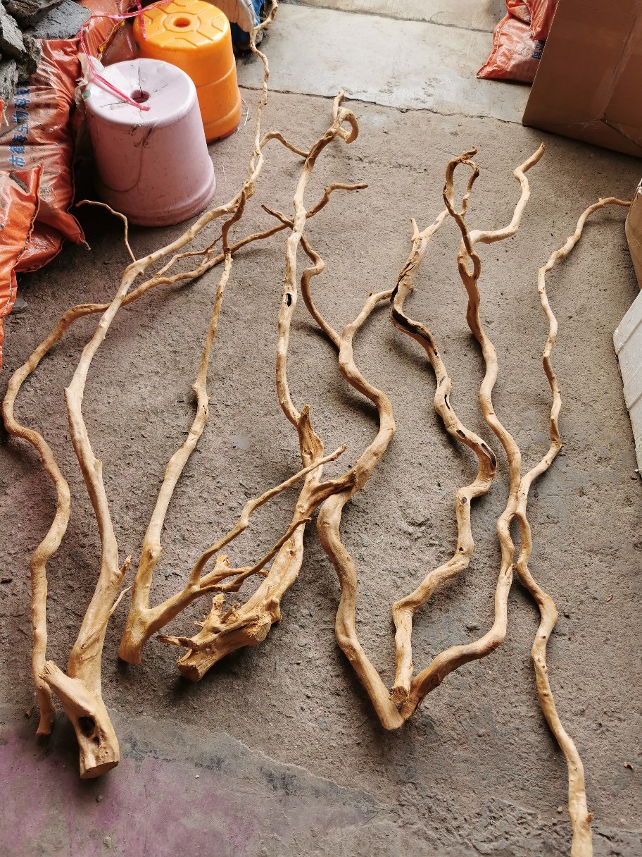 造景雨林长枝条 长树根 单枝杜鹃根 软装假树 根雕原生态鱼缸造景