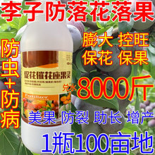 李子催花保果座果保花保果结果多农药防落花落果树花卉蔬菜叶面肥