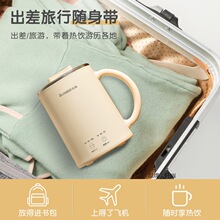 养生壶家用多功能小型mini烧水花茶加热炖煮茶器办公室电热杯