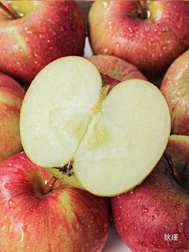 东北国光苹果特产新鲜苹果水果5斤包邮酸甜脆正宗小国光非红富士