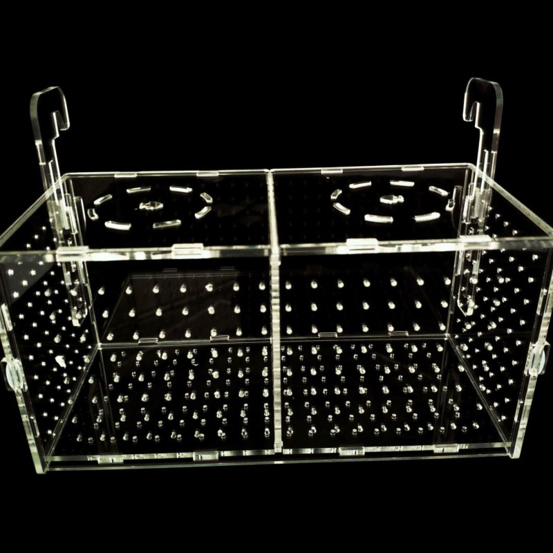 斗鱼鱼缸隔离盒亚克力小型鱼盒箱繁殖盒水族饲养箱分离箱孔雀箱