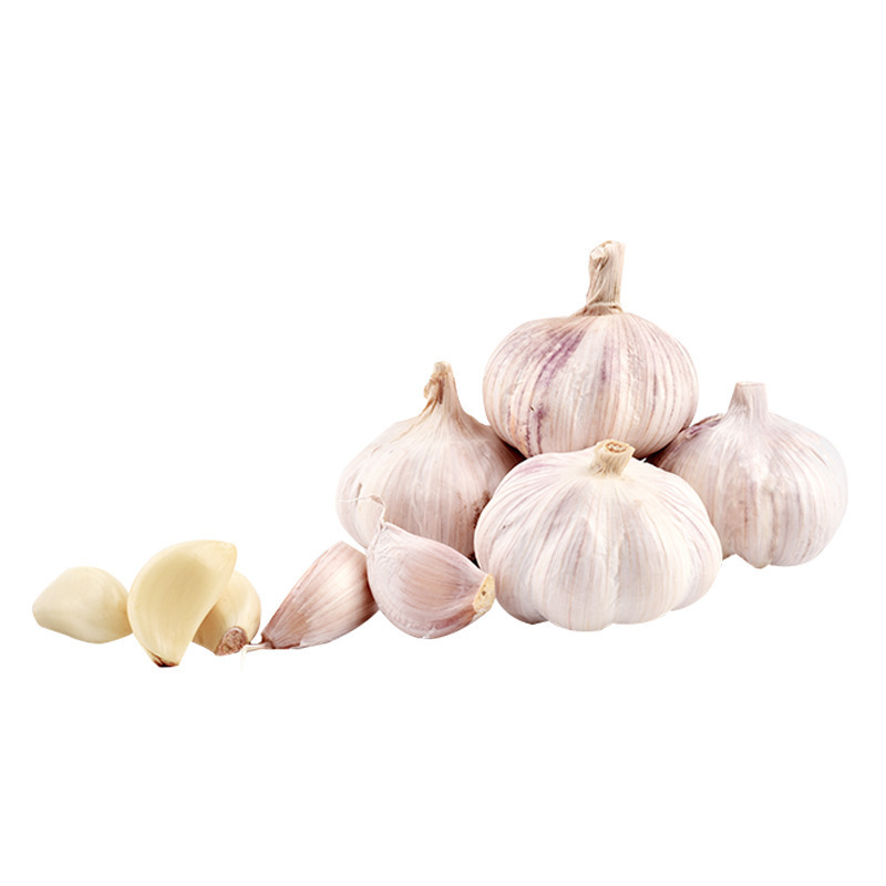 新鲜大蒜农家自种干大蒜头新鲜白紫皮中果5斤10斤装晒整箱批发