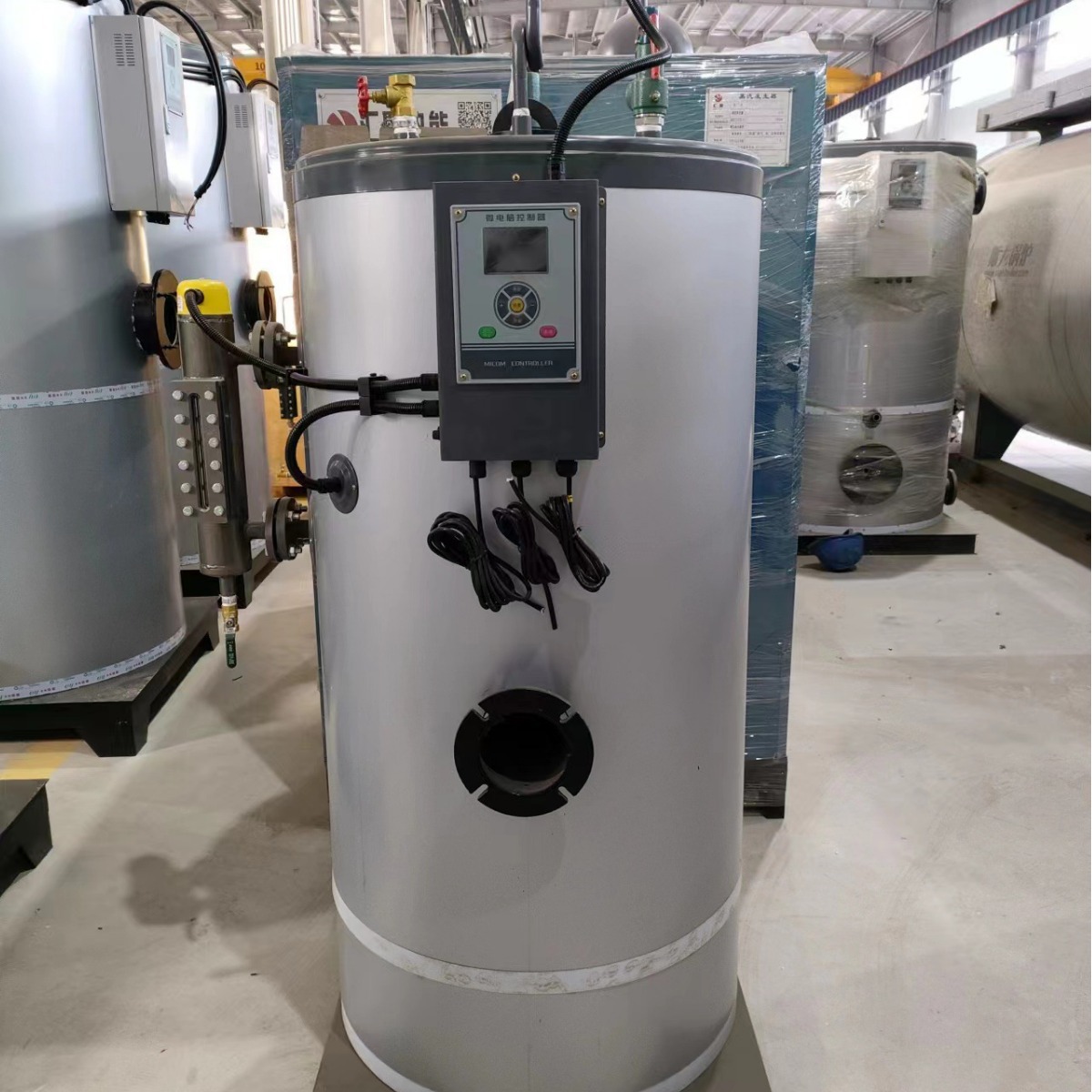 实力商家商用容积式燃气热水导热油炉 酒店高温灭菌餐具消毒设备