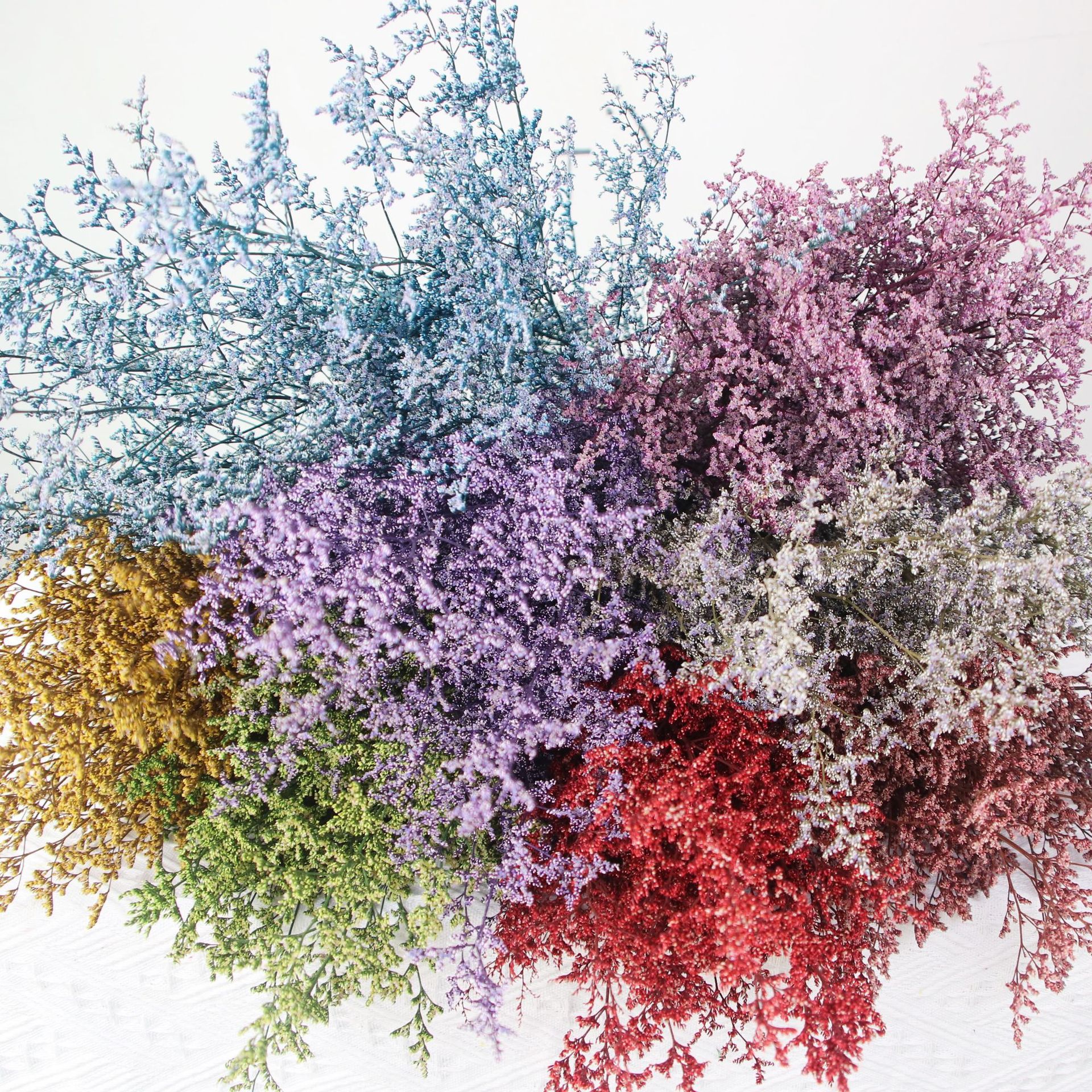 云南永生花保鲜花情人草干花批发玫瑰花束配材北欧风云南厂家批发
