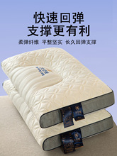 成人家用助睡眠枕套学生枕头枕芯装乳胶太空舱护颈椎酒店单人一对