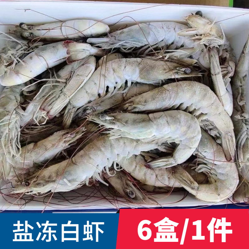 批发冷冻水产海鲜新鲜盐冻白虾 40/50南美盐大虾 30/40深海基围虾
