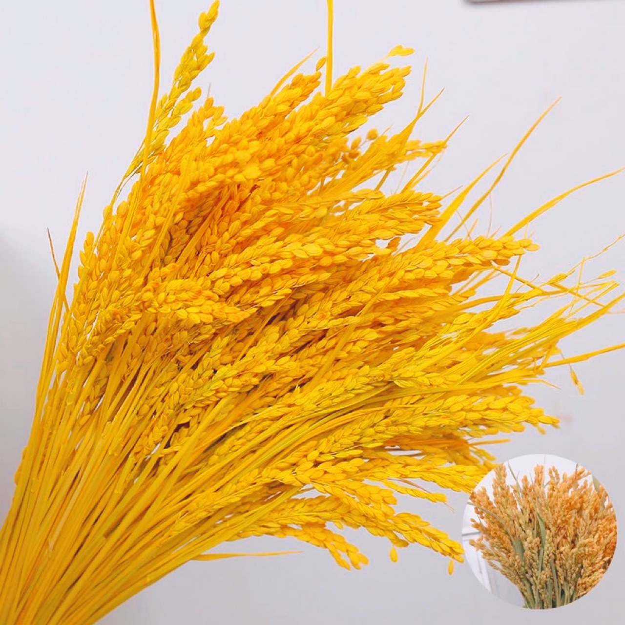 稻穗干花天然真水稻风干花束拍摄道具田园装饰摆件五谷丰登稻谷花