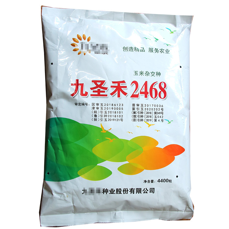九圣禾2468玉米种子 农田菜地秆粗大穗红轴大粒玉米棒子籽