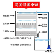 沼泽滴流过滤箱自制水培设备水流景观共生迷你周转箱设备系统