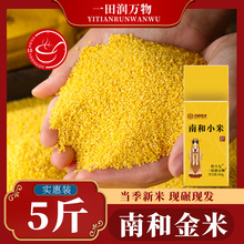 邢台南和金米黄小米粥小黄米新米5斤农家五谷杂粮河北特产小米