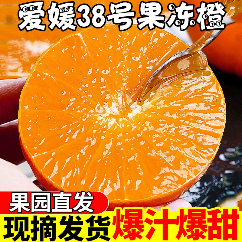 四川爱媛果冻橙正宗38果冻橙当季纯甜现摘橙子柑橘蜜桔沙糖桔包邮