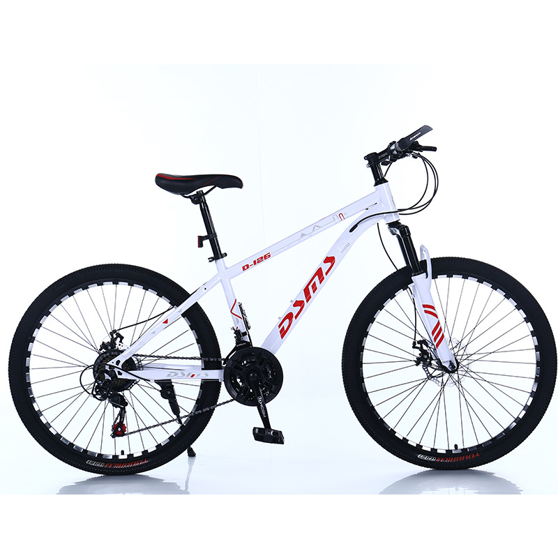 Mountain Bike Spoke Wheel Adult Male and Female Racing Aluminum Alloy off-Road Variable Speed Outdoor Bicycle Teenagers Students